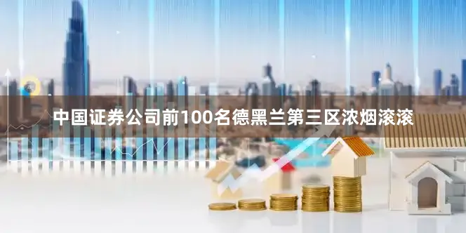 中国证券公司前100名德黑兰第三区浓烟滚滚