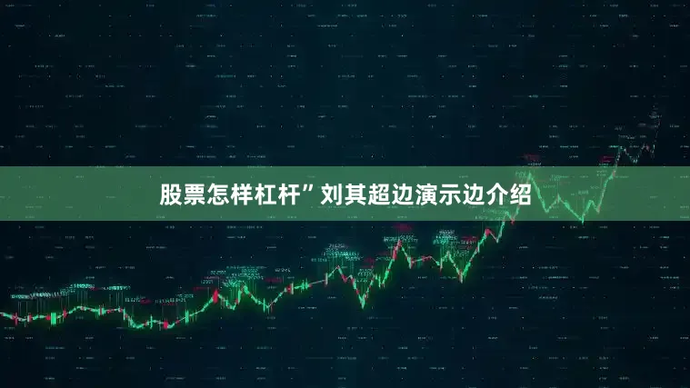 股票怎样杠杆”刘其超边演示边介绍